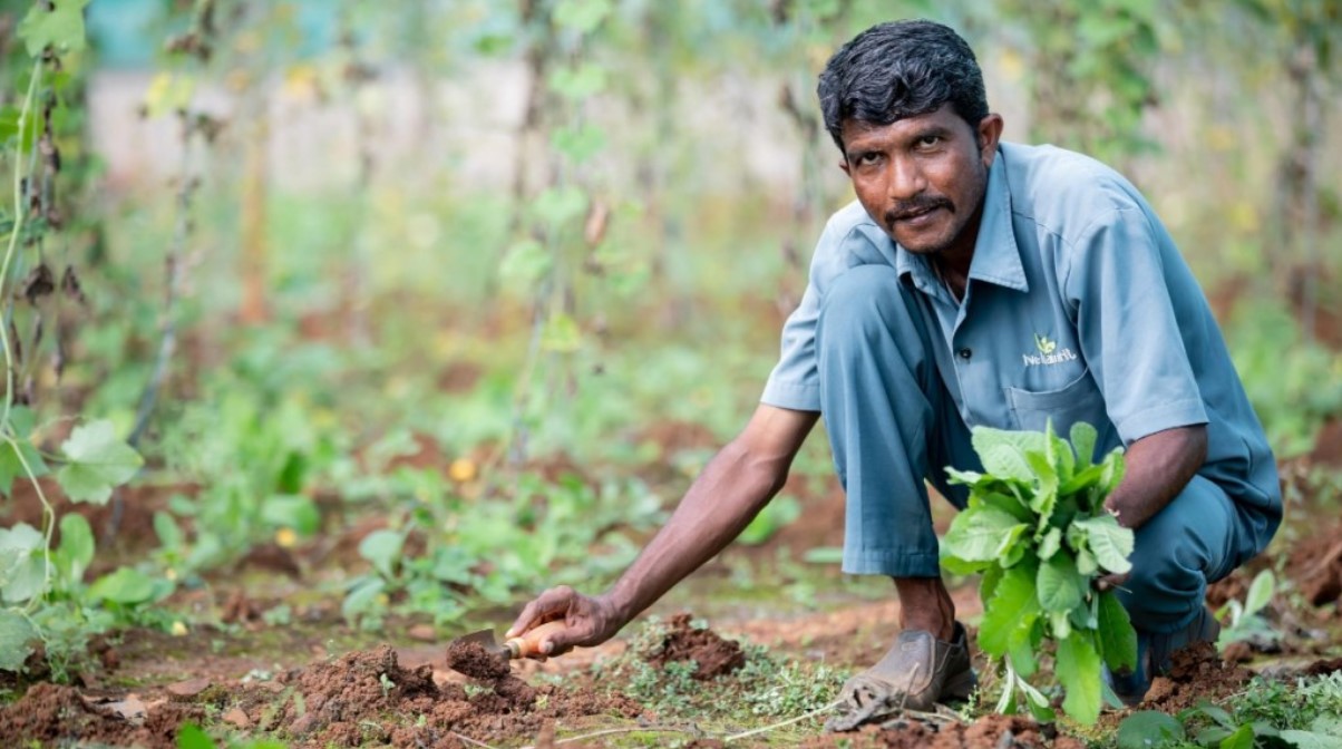 PM Kisan Samman Nidhi Yojana: When is the 20th installment releasing? Check date, beneficiary details and more